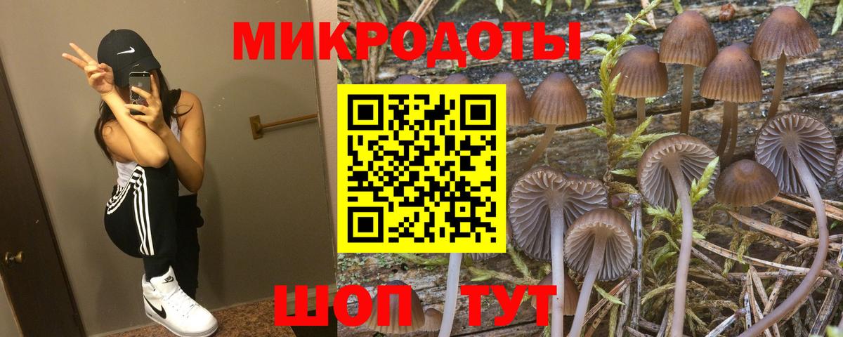 Симферополь  Псилоцибиновые грибы Magic Shrooms  Вход с VPN  Псилоцибиновые грибы прущие грибы 